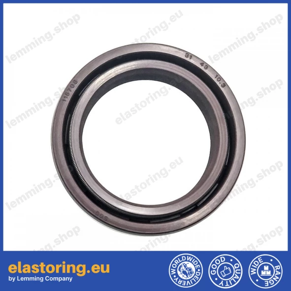Oil seal 31x43x10,3 DUO FPM