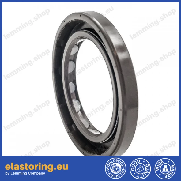 Oil seal 35x52x6/5,5 BAFSL1SF FPM Oil seal 35x52x6/5,5 BAFSL1SF FPM