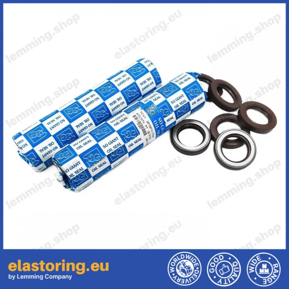 Pressure oil seal 38x58x11 TCN1 FPM Pressure oil seal 38x58x11 TCN1 FPM