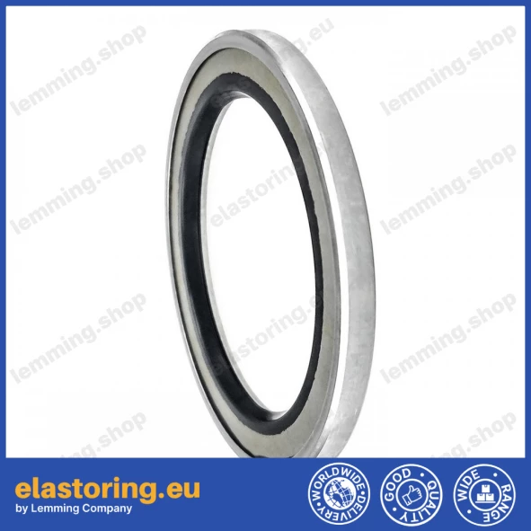 Oil seal 40x55x4 VAY NBR Oil seal 40x55x4 VAY NBR