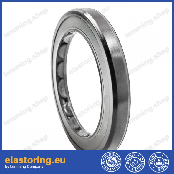 Oil seal 40x55x6/5,5 BAFSL1SF FPM Oil seal 40x55x6/5,5 BAFSL1SF FPM