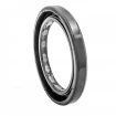 Oil seal 40x55x6/5,5 BAFSL1SF FPM Oil seal 40x55x6/5,5 BAFSL1SF FPM
