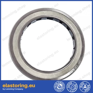 Oil seal 40x55x6/5,5 BAFSL1SF FPM Oil seal 40x55x6/5,5 BAFSL1SF FPM