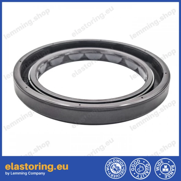 Oil seal 40x55x6/5,5 BAFSL1SF FPM Oil seal 40x55x6/5,5 BAFSL1SF FPM