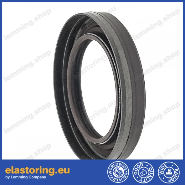 Oil seal 40x60x10 B1BAVISLDRW FPM Oil seal 40x60x10 B1BAVISLDRW FPM