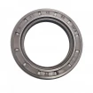 Oil seal 40x60x10 B1BAVISLDRW FPM Oil seal 40x60x10 B1BAVISLDRW FPM