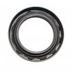 Oil seal 40x60x10 B1BAVISLDRW FPM Oil seal 40x60x10 B1BAVISLDRW FPM