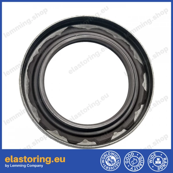 Oil seal 40x60x10 B1BAVISLDRW FPM Oil seal 40x60x10 B1BAVISLDRW FPM