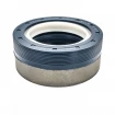 Wheel hub oil seal 40x60x25 RWDR-KOMBI Wheel hub oil seal 40x60x25 RWDR-KOMBI