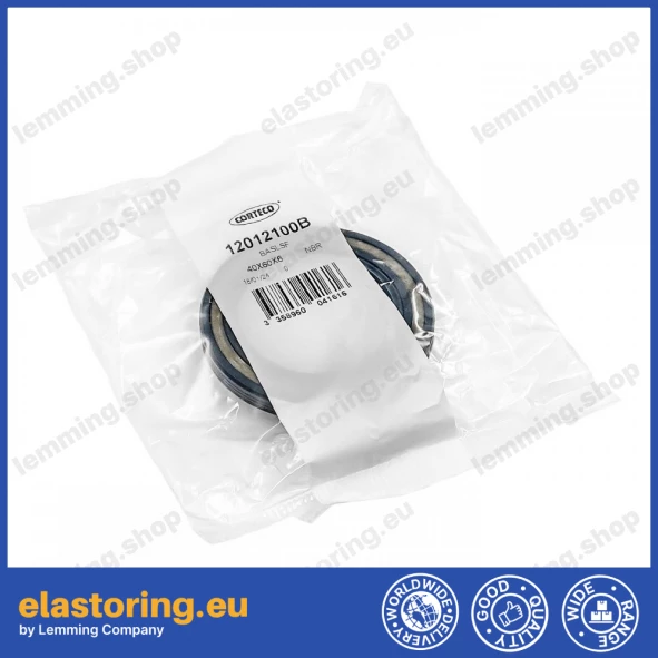 Oil seal 40x60x6 BASLSF NBR Oil seal 40x60x6 BASLSF NBR