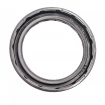 Pressure oil seal 44,45x60x7 BAFSL1SF FPM
