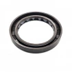 Oil seal 44,5x61,9x8 TCV FPM Oil seal 44,5x61,9x8 TCV FPM