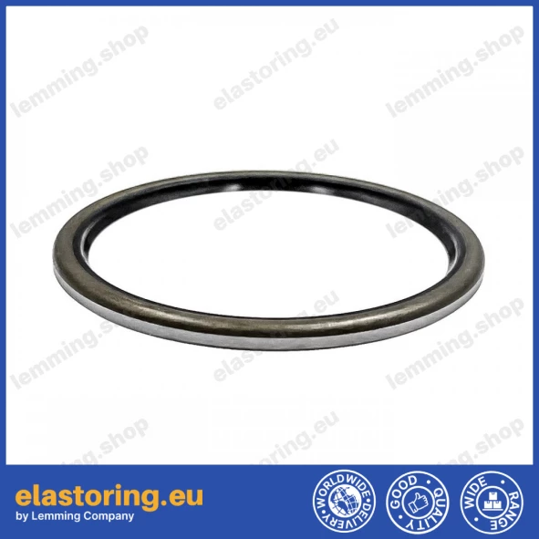Dust seal 45x52x3 VB NBR Dust seal 45x52x3 VB NBR