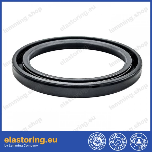 Oil seal 47x62x6 SC NBR