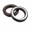 Pressure oil seal 48x70x12 TCN1 FPM Pressure oil seal 48x70x12 TCN1 FPM
