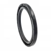 Oil seal 52x66x5,5 BASFX2 NEM Oil seal 52x66x5,5 BASFX2 NEM