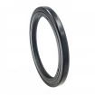 Oil seal 52x66x5,5 BASFX2 NEM Oil seal 52x66x5,5 BASFX2 NEM