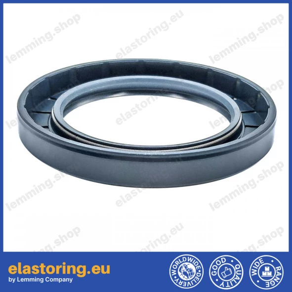 Oil seal 55x80x10 BASL2X67 Oil seal 55x80x10 BASL2X67