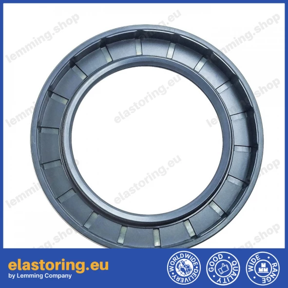 Oil seal 55x80x10 BASL2X67 Oil seal 55x80x10 BASL2X67
