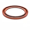 Oil seal 60x80x6 ATDSL PTFE+NBR Oil seal 60x80x6 ATDSL PTFE+NBR