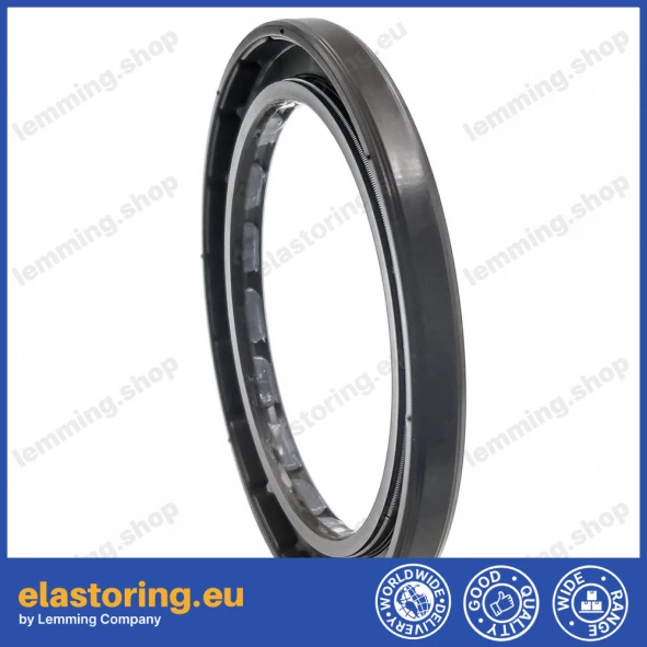 Oil seal 60x80x7 PPS FPM Oil seal 60x80x7 PPS FPM