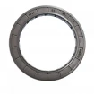 Oil seal 60x80x7 PPS FPM Oil seal 60x80x7 PPS FPM
