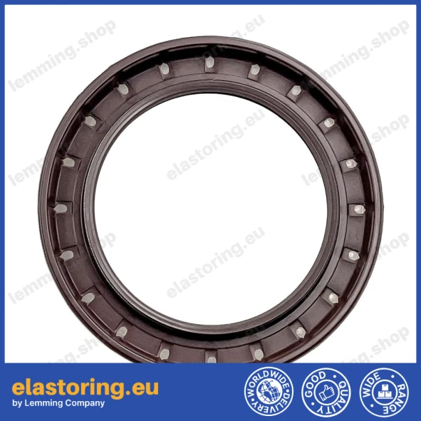 Oil seal 60x85x8 BASLDRWVI FPM