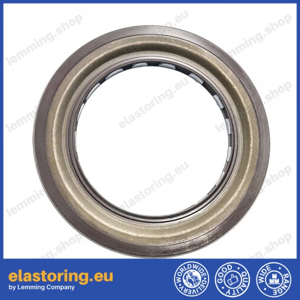 Oil seal 60x90x7/6 BAFSL1SF FPM Oil seal 60x90x7/6 BAFSL1SF FPM