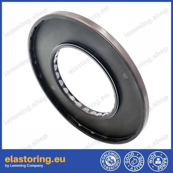 Oil seal 65x120x7 PPS FPM Oil seal 65x120x7 PPS FPM