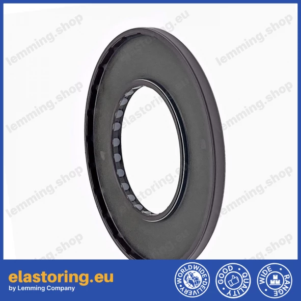 Oil seal 65x120x7 PPS FPM