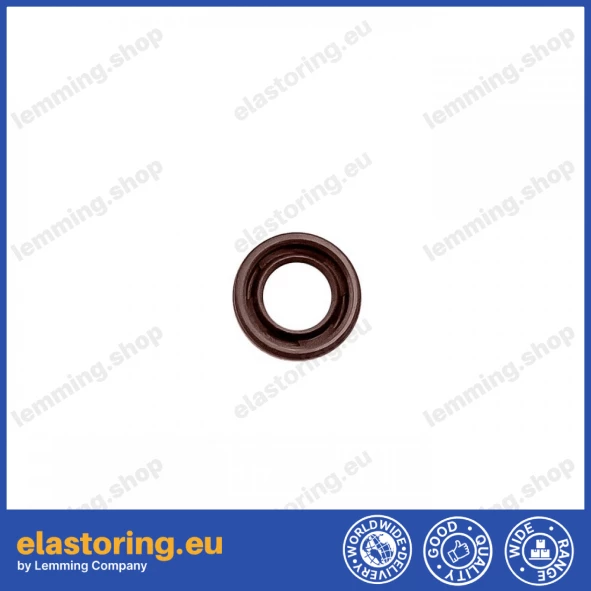 Oil seal 6x10x2 VC FPM