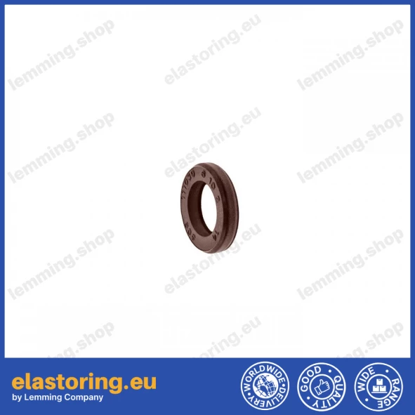 Oil seal 6x10x2 VC FPM