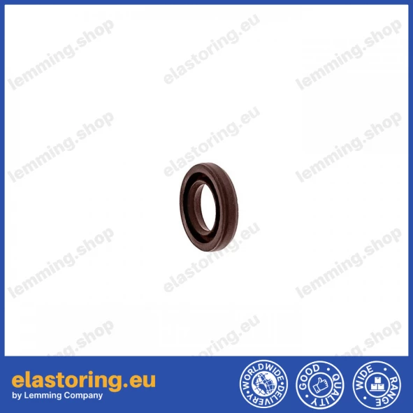 Oil seal 6x10x2 VC FPM