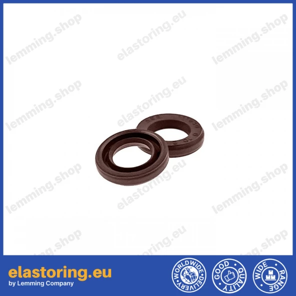 Oil seal 6x10x2 VC FPM