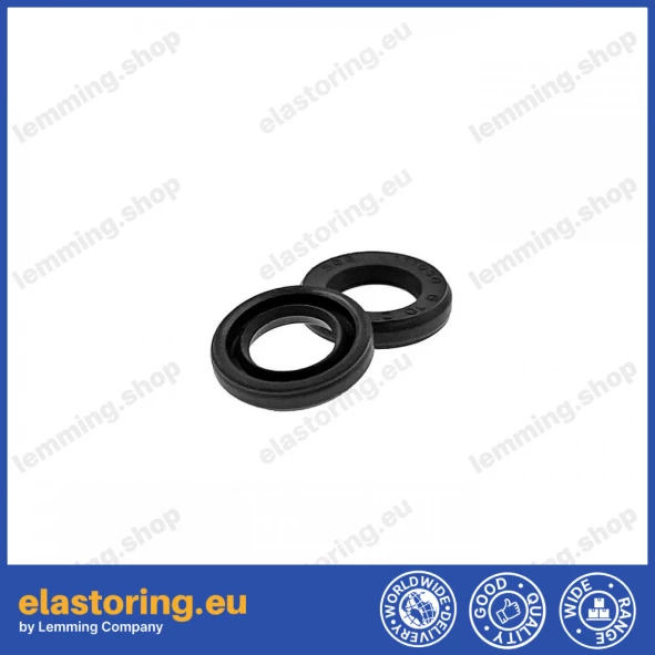 Oil seal 6x10x2 VC NBR