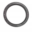 Oil seal 70x88x8 B1BAVISLRSX7 FPM Oil seal 70x88x8 B1BAVISLRSX7 FPM