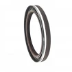 Oil seal 74x95x11 B1BAVISLVSFRDX7 FPM Oil seal 74x95x11 B1BAVISLVSFRDX7 FPM