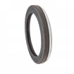 Oil seal 74x95x11 B1BAVISLVSFRDX7 FPM Oil seal 74x95x11 B1BAVISLVSFRDX7 FPM