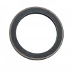 Oil seal 74x95x11 B1BAVISLVSFRDX7 FPM Oil seal 74x95x11 B1BAVISLVSFRDX7 FPM