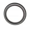Oil seal 74x95x11 B1BAVISLVSFRDX7 FPM Oil seal 74x95x11 B1BAVISLVSFRDX7 FPM