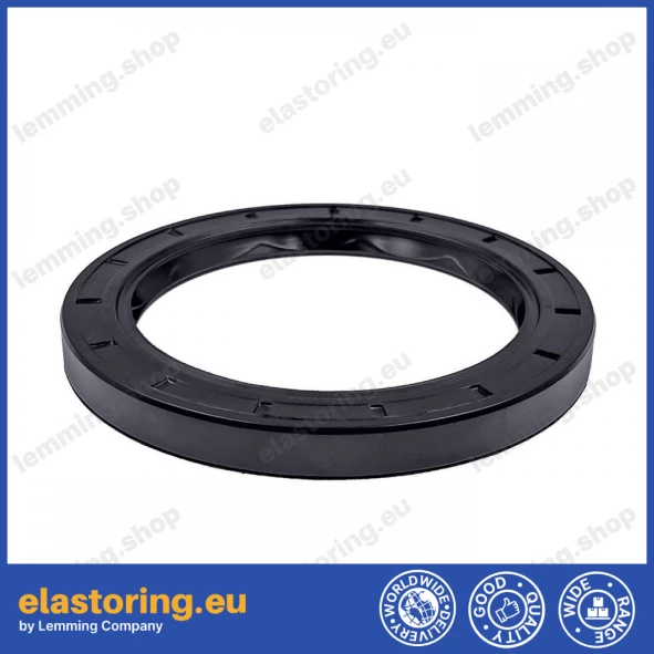 Oil seal 75x100x10 BASLDRW