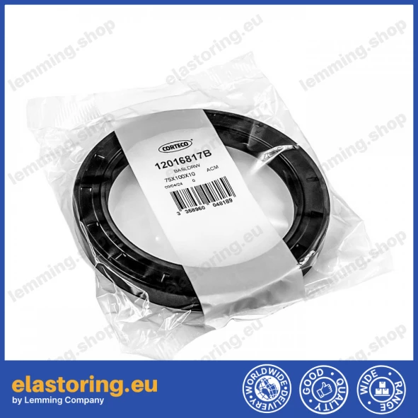 Oil seal 75x100x10 BASLDRW