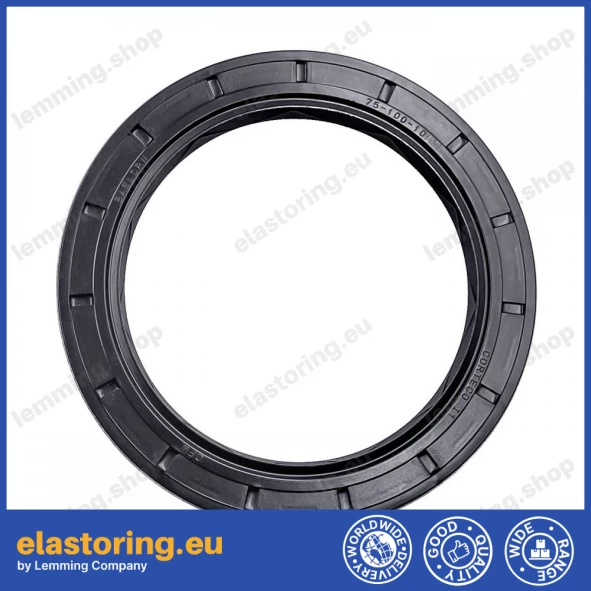 Oil seal 75x100x10 BASLDRW
