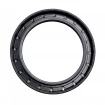 Oil seal 75x100x10 BASLDRW
