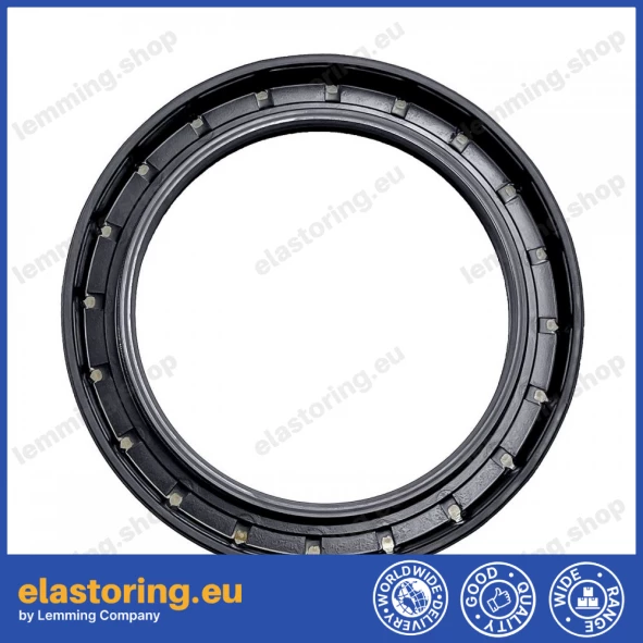 Oil seal 75x100x10 BASLDRW