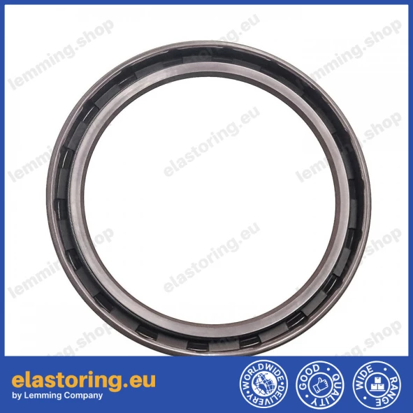 Oil seal 80x100x10 A FPM Oil seal 80x100x10 A FPM