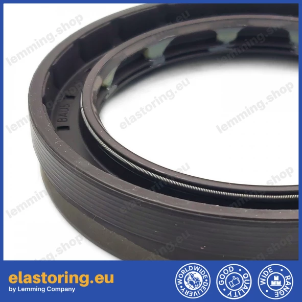 Oil seal 80x110x10,3/19 BAVISLSFX67 FPM Oil seal 80x110x10,3/19 BAVISLSFX67 FPM