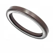 Pressure oil seal 95x120x13 TCN1 FPM Pressure oil seal 95x120x13 TCN1 FPM
