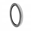 Oil seal CSLCCW 25x38x7 PTFE