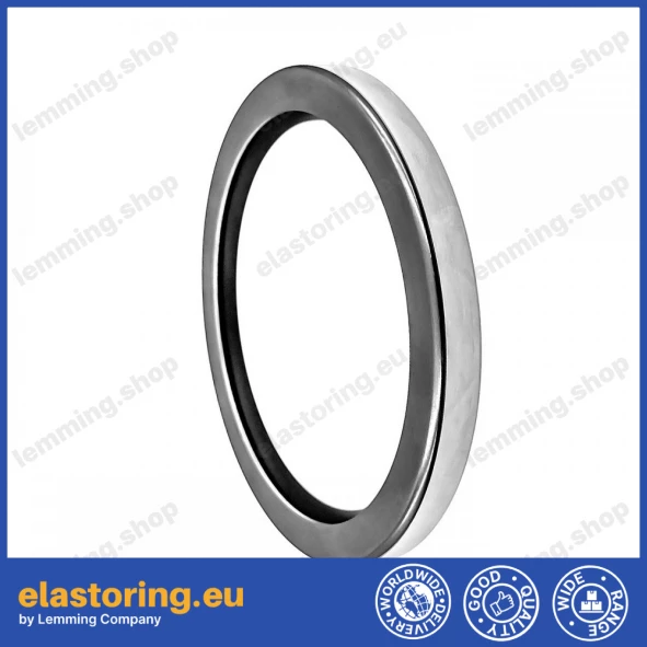 Oil seal CSLCCW 25x38x7 PTFE
